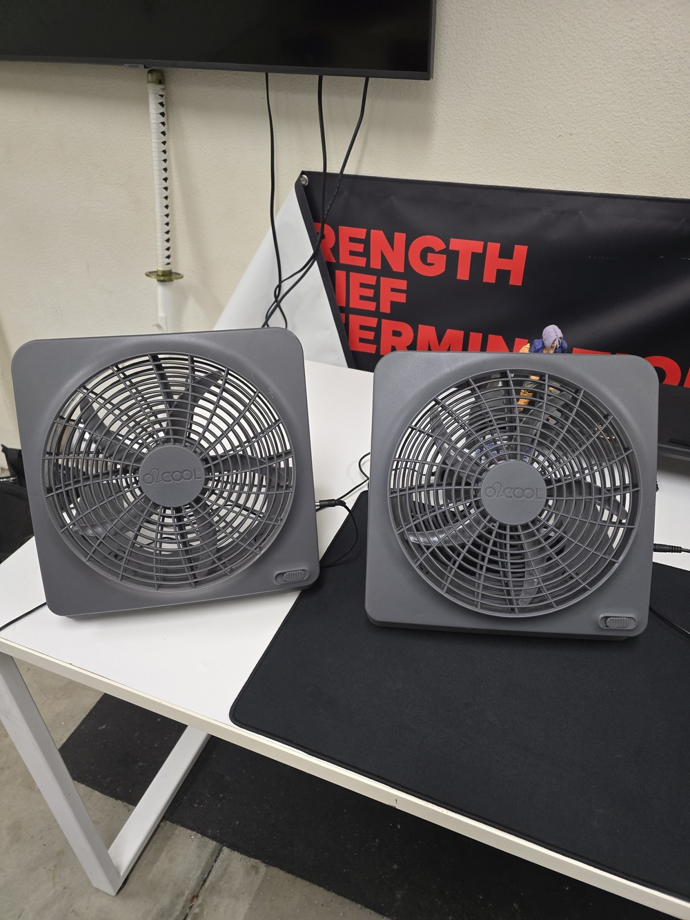 2 O Cool Fans